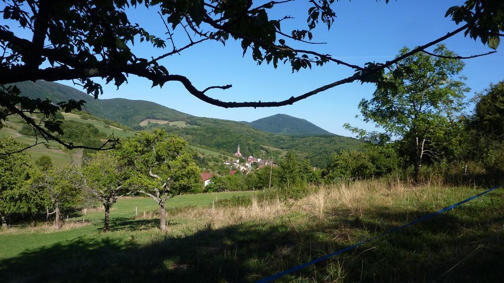 Gite Schlitteur Et Sapiniere Breitenbach Екстериор снимка