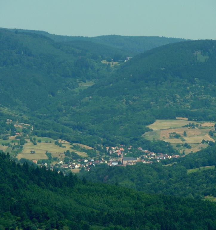 Gite Schlitteur Et Sapiniere Breitenbach Екстериор снимка