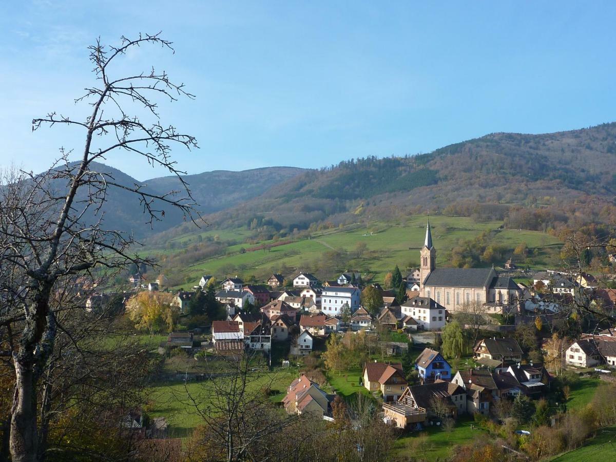 Gite Schlitteur Et Sapiniere Breitenbach Екстериор снимка